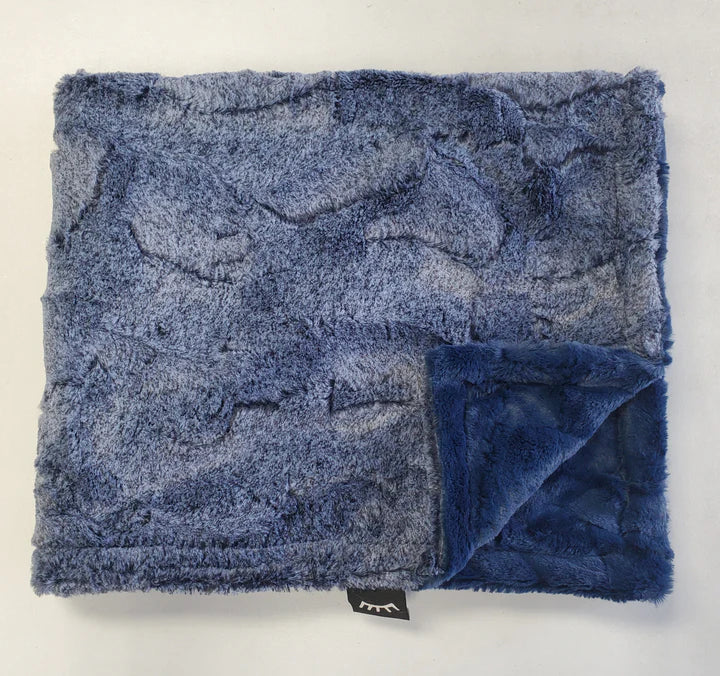 Winx + Blinx Minky Blanket